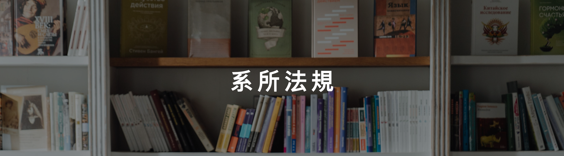 系所法規